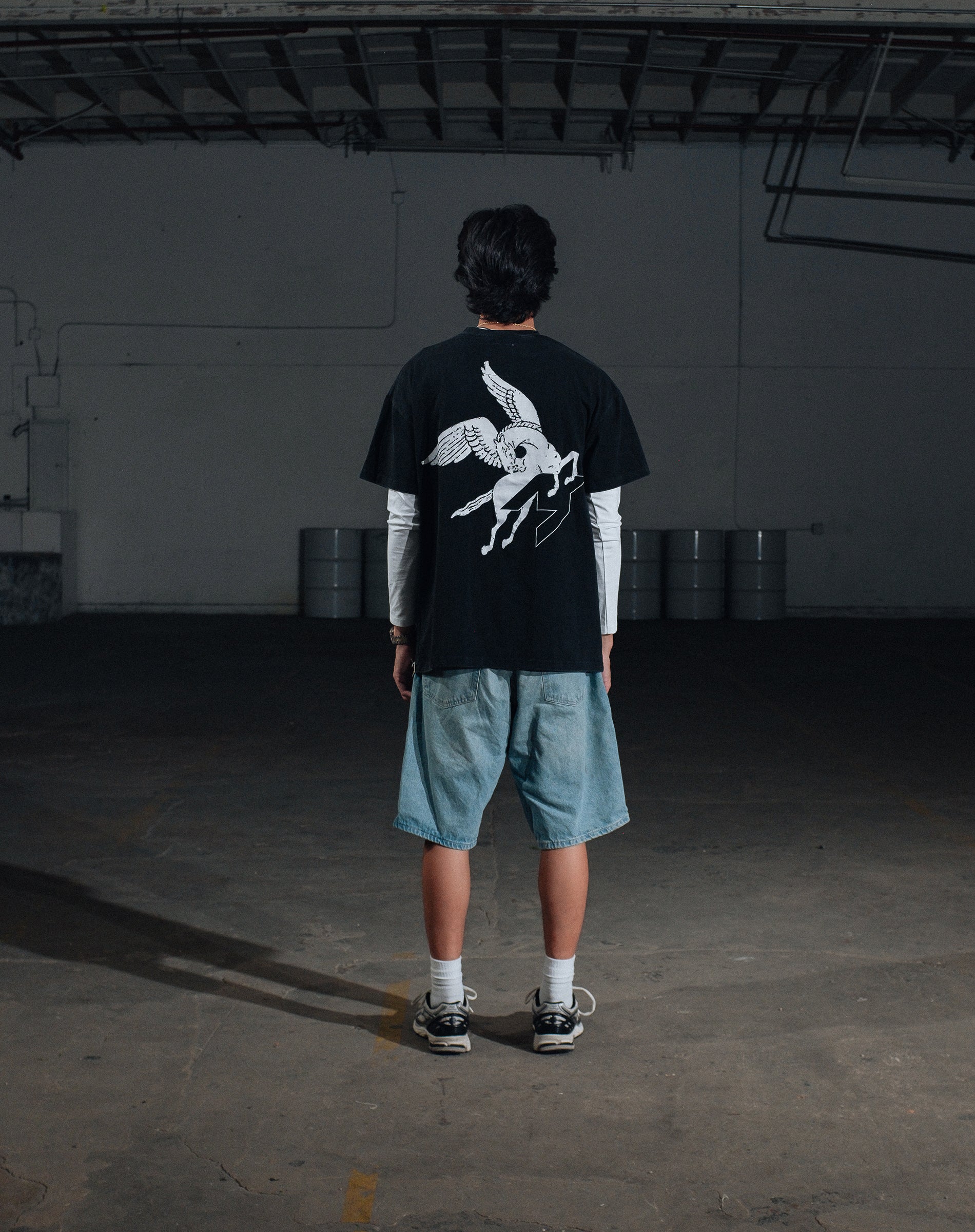 Pegasus Tee - Vintage Black